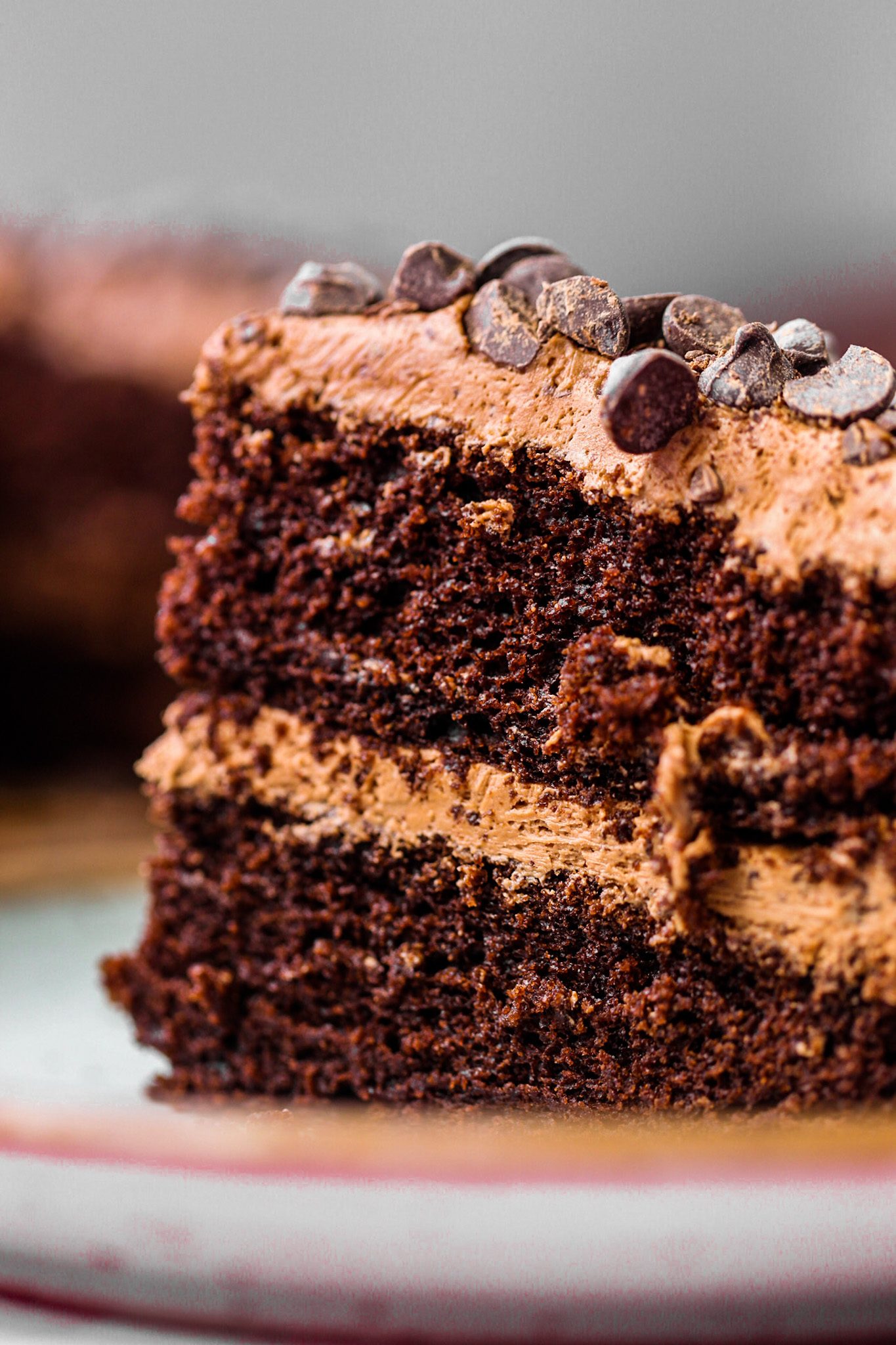 Vegan chocolate layer cake with fluffy dark chocolate layers and generous swirls of whipped chocolate buttercream frosting.