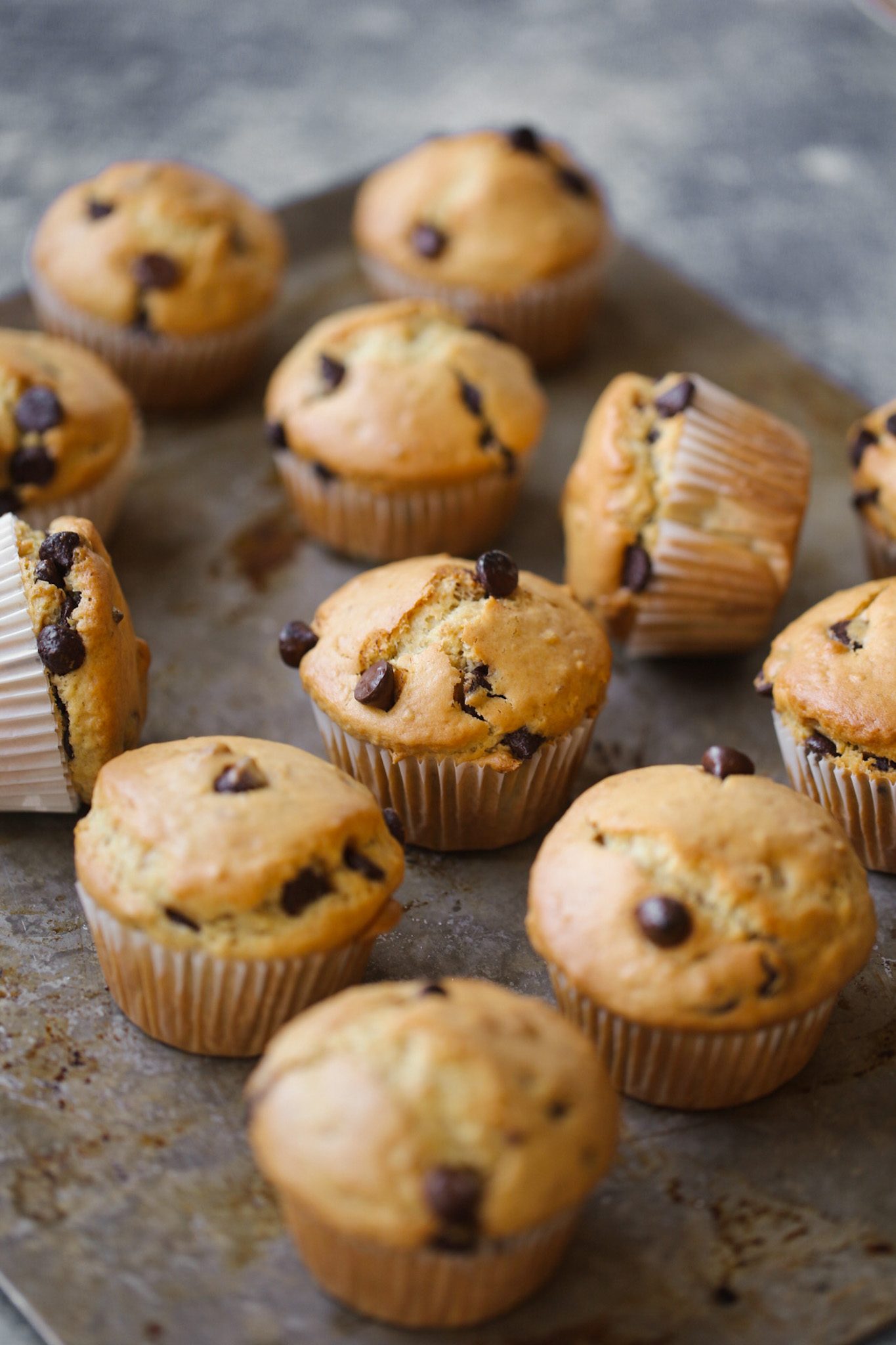 Fluffy chocolate chip walnut muffins with golden-brown tops and melty chocolate chips.